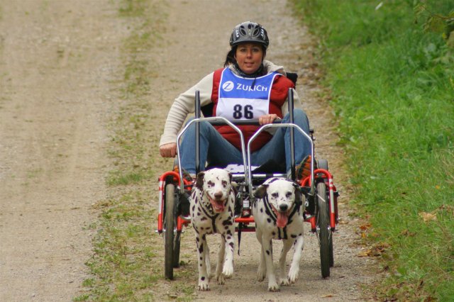 Rennen Weinfelden